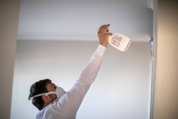 Mold Removal Process in Winona, MS