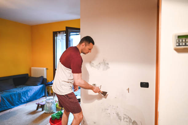 Best Black Mold Removal  in Winona, MS